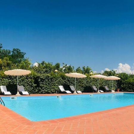 Villa Lavinia B&B Montescudaio Exteriér fotografie
