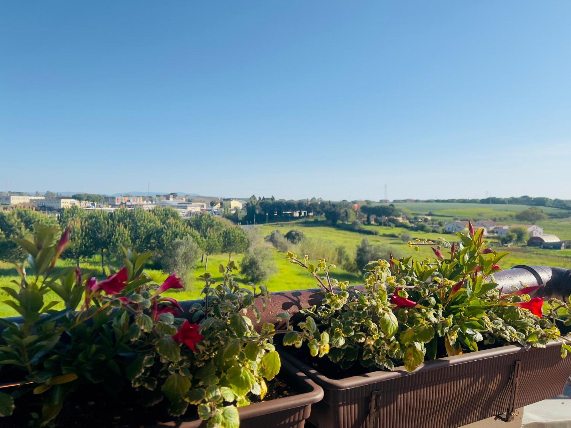Villa Lavinia B&B Montescudaio Exteriér fotografie