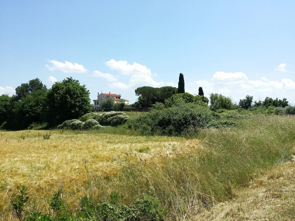 Villa Lavinia B&B Montescudaio Exteriér fotografie